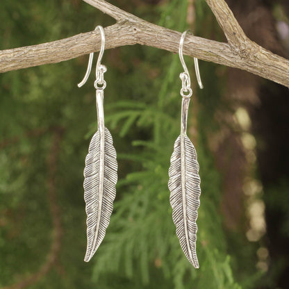 Flight Sterling Silver Feather Motif Earrings