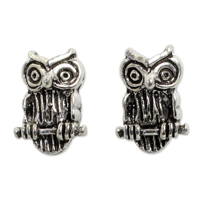 Wise Little Owl Silver Button Earrings