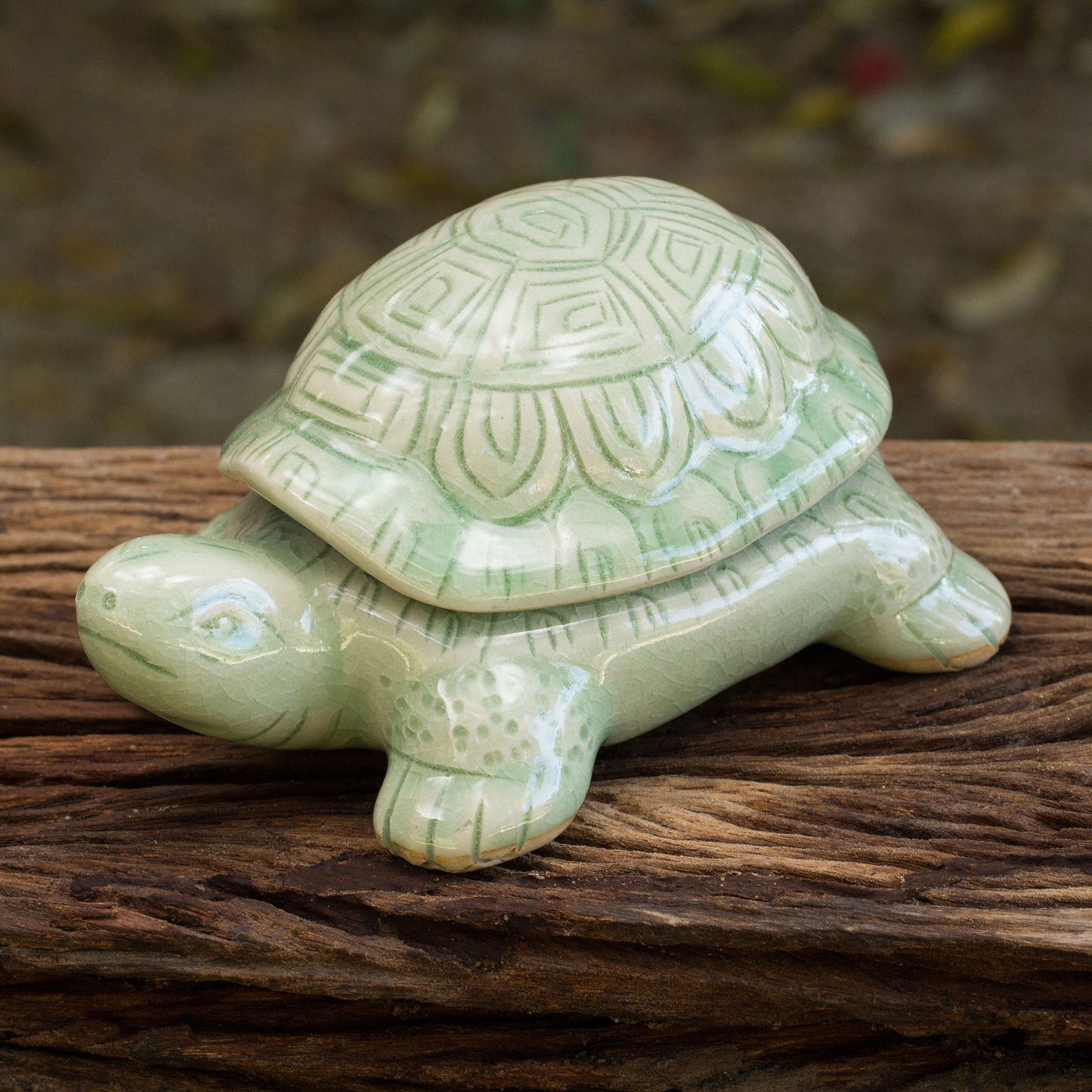 Green Thai Turtle Handcrafted Green Thai Celadon Ceramic Turtle Box
