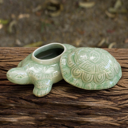 Green Thai Turtle Handcrafted Green Thai Celadon Ceramic Turtle Box