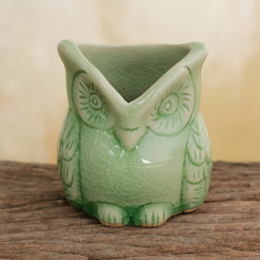 Happy Green Owl Handcrafted Green Thai Celadon Bird Theme Pot