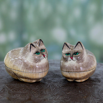 Contented Kitties Indian Handcrafted Cat Theme Papier Mache Boxes (Pair)
