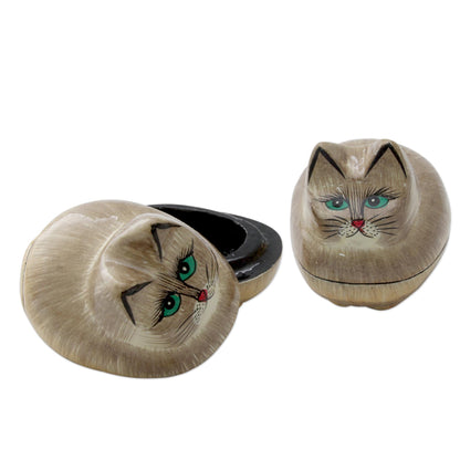 Contented Kitties Indian Handcrafted Cat Theme Papier Mache Boxes (Pair)