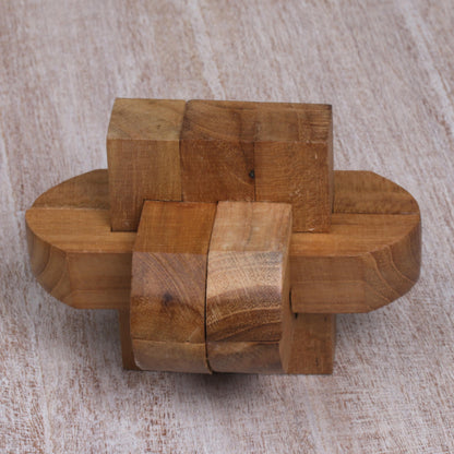 Focus Artisan Crafted Upcycled Teak Wood Puzzle from Java