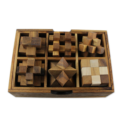 Set of Six Wood Puzzle Games