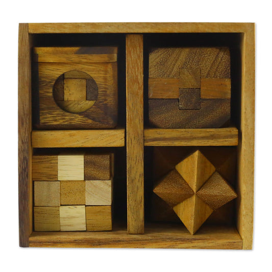 Wooden 3-Dimensional Five Puzzles