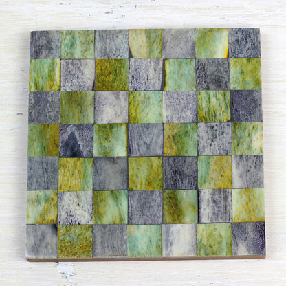 Earthy Checkers Six Green and Grey Checkerboard Bone Coasters from India