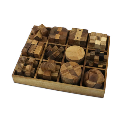 Array Of Challenges Wood Puzzles