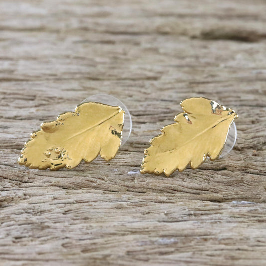 Shining Fern Gold Plated Natural Davallia Leaf Earrings from Thailand