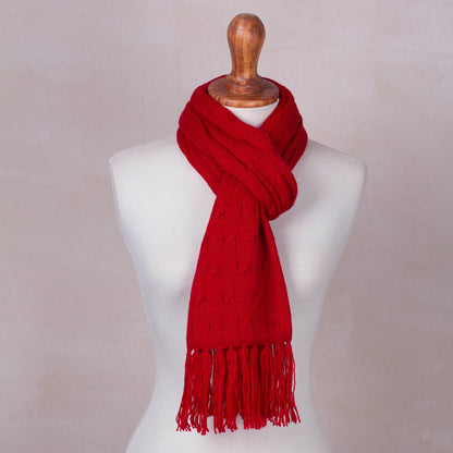 Soft Winter Red Knit Scarf