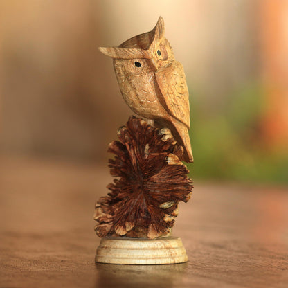 Perched Owl Jempinis Wood Owl Sculpture from Bali