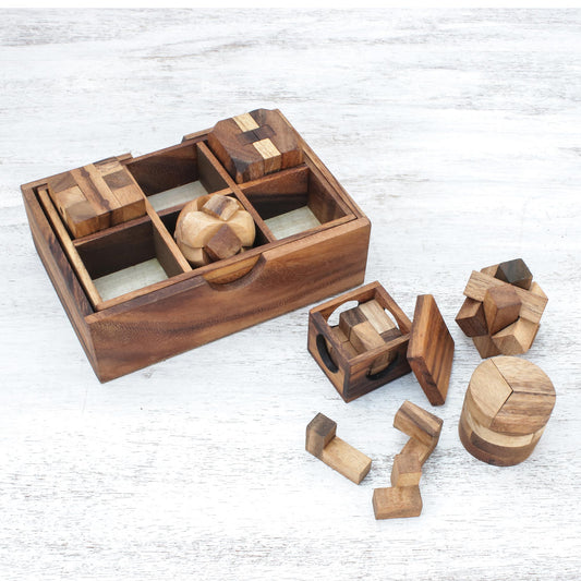 Beautiful Challenge Raintree Wood Puzzle Set from Thailand (6 Piece)