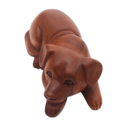 Good Boy Hand-Carved Suar Wood Dog Sculpture from Bali