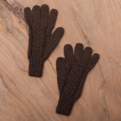 Winter Walk in Mahogany Hand-Knit 100% Alpaca Gloves in Mahogany from Peru