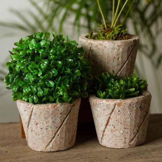 Plant Stripes Spiral Pattern Reclaimed Stone Flower Pots (Set of 3)
