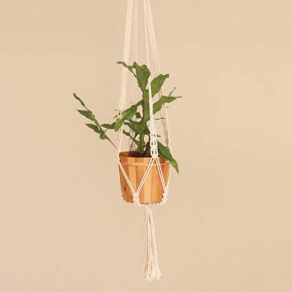 Pure Home Hand-Knotted White Cotton Macrame Hanger from Bali