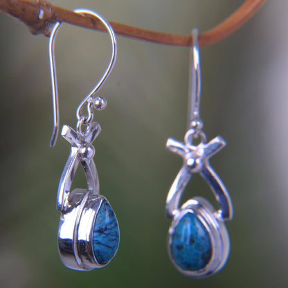 NOVICA - Natural Turquoise & Sterling Silver Dangle Earrings