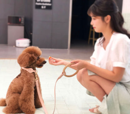Pet Life ® 'Ever-Craft' Boutique Series Adjustable Designer Leather Dog Collar