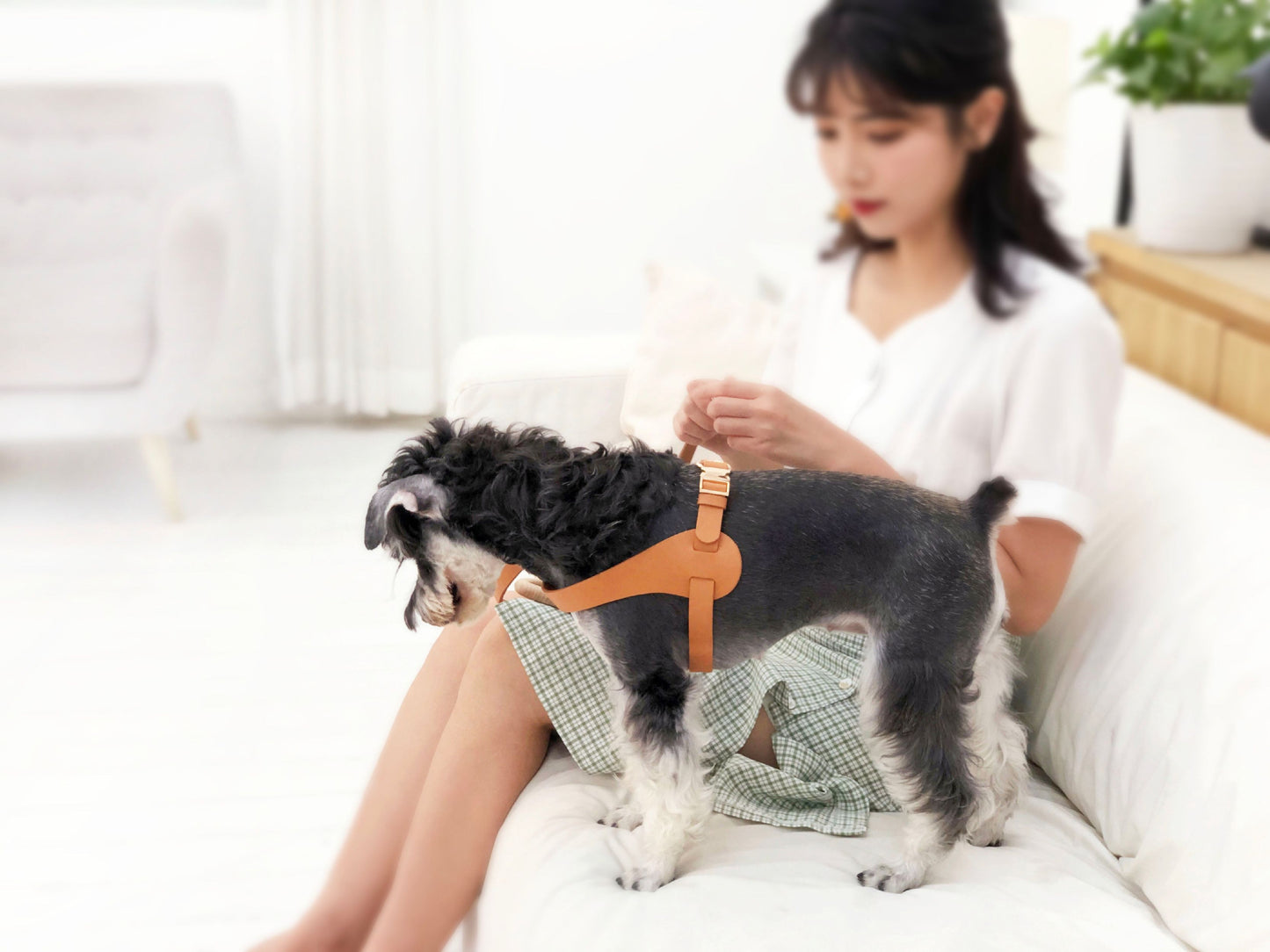 Pet Life ® 'Ever-Craft' Boutique Series Adjustable Designer Leather Dog Harness