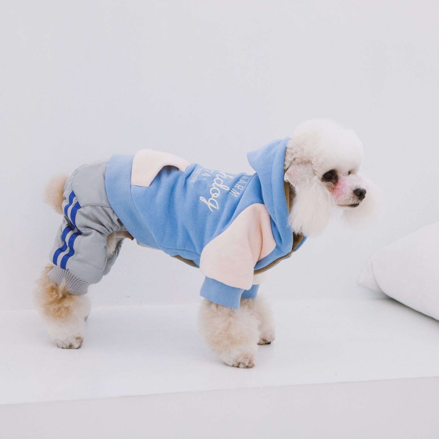Touchdog Heritage Soft-Cotton Dog Hoodie