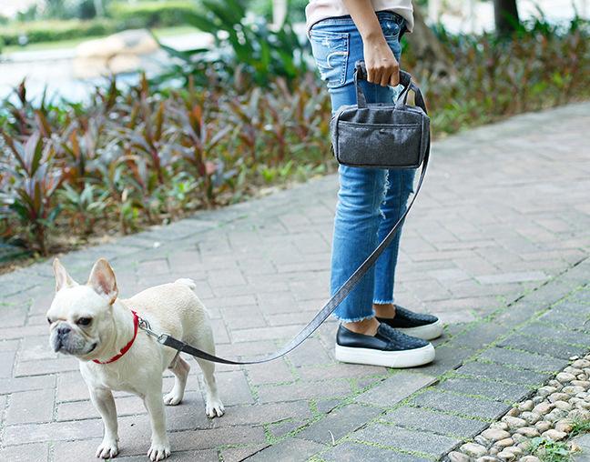 Pet Life ® 'Posh Walk' Purse Dog Leash, Accessory Holder and Waste Bag Dispenser