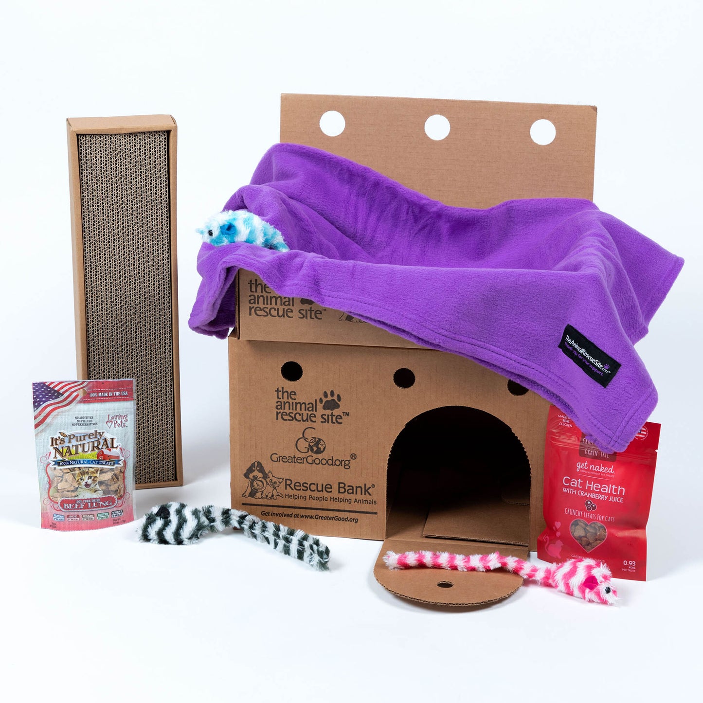 Crazy for Cats: Provide Essentials for Cats & Kittens In Need