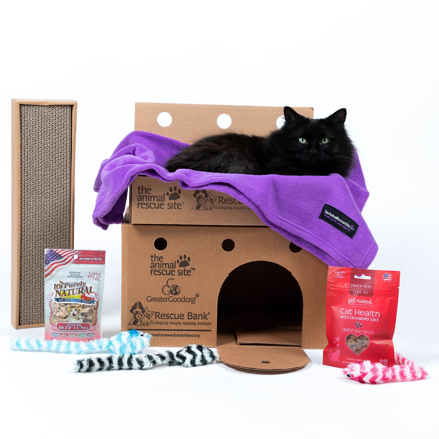 Crazy for Cats: Provide Essentials for Cats & Kittens In Need