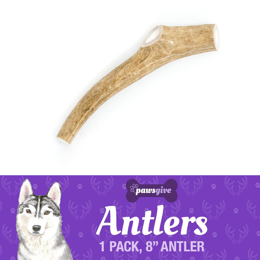 PawsGive - 8" Large Naturally Shed Antler Chew For Dogs