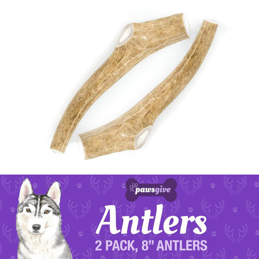 PawsGive - Grade "A" Naturally Shed Antler Chews For Dogs - 8" Large Antlers, 2 Pack