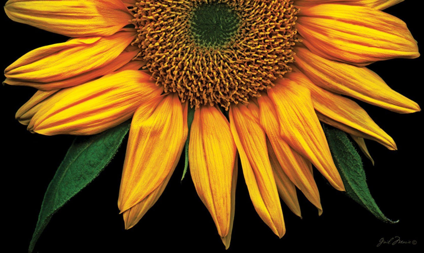 Toland Home Garden - Sunflower Door Mat