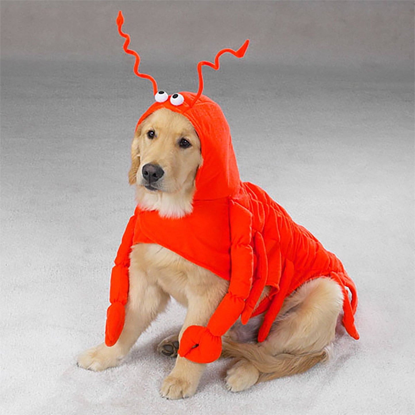 Casual Canine&reg; Lobster Paws Dog Costume
