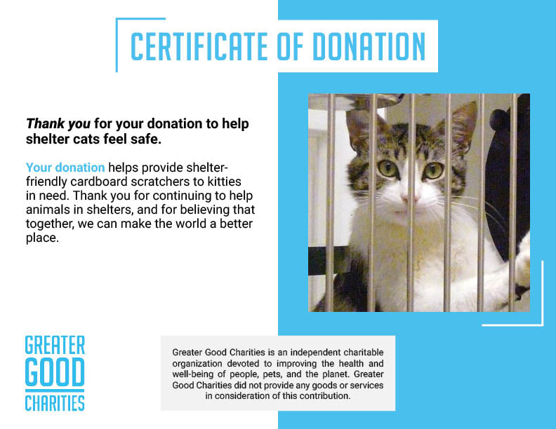 Help Shelter Cats Feel Safe