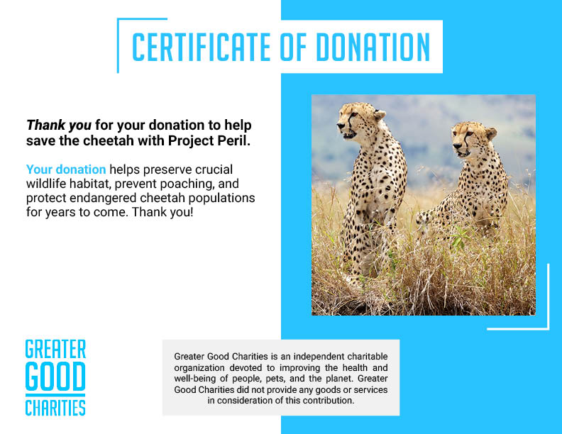 Project Peril: Help Save the Cheetah
