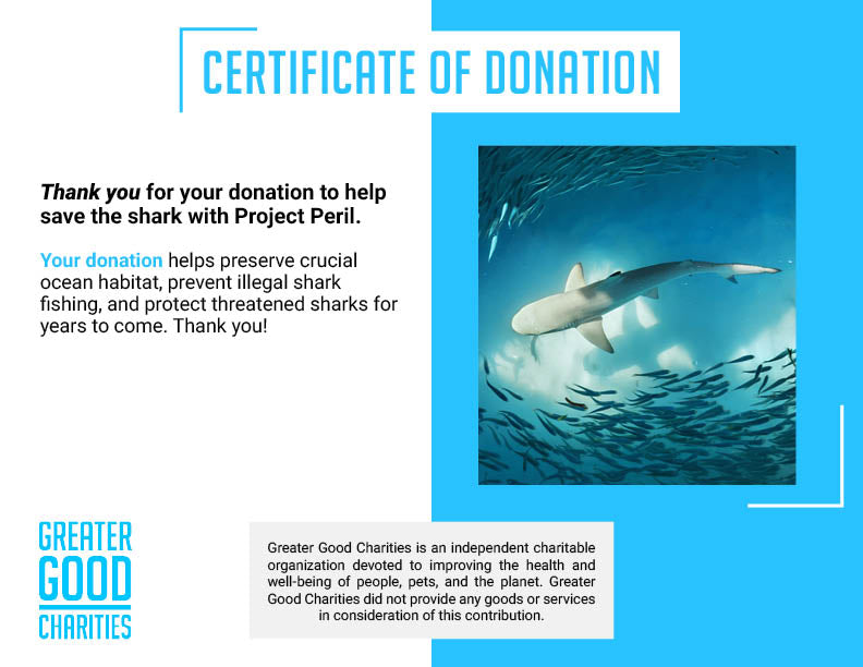 Project Peril: Help Save the Shark