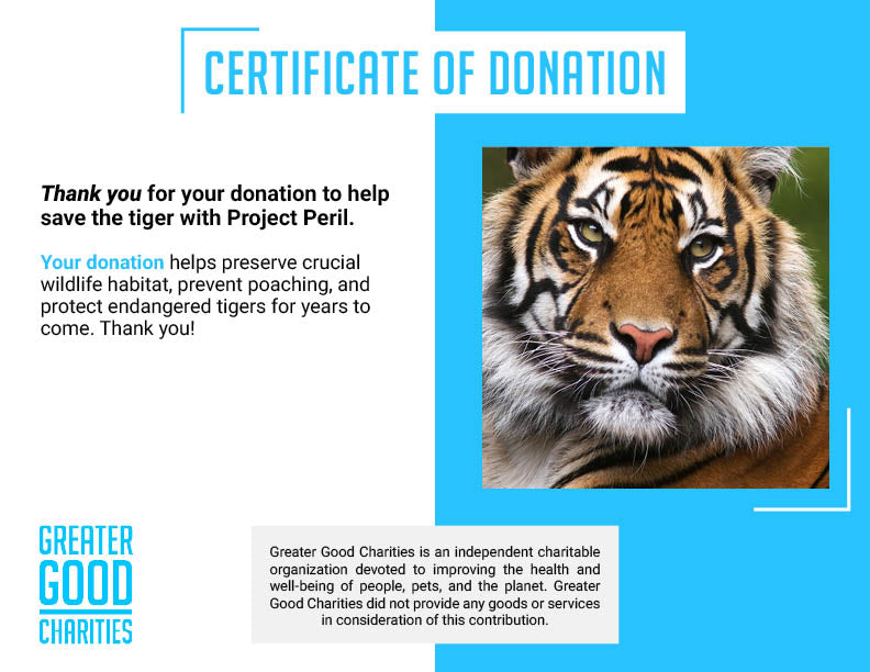 Project Peril: Save the Indochinese Tiger Before It Disappears