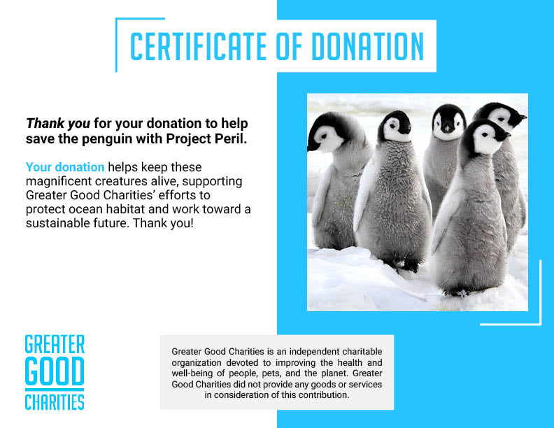 Project Peril: Help Save the Penguin
