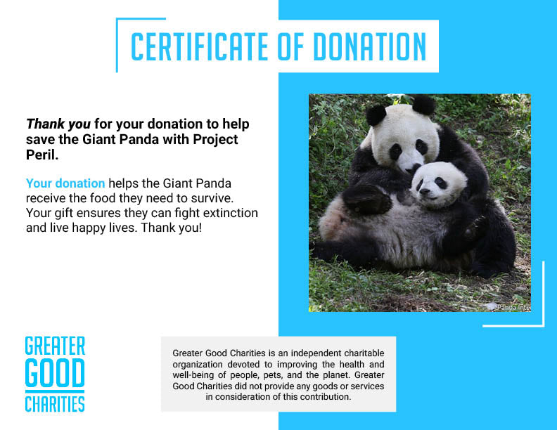 Project Peril: Help Save the Giant Panda