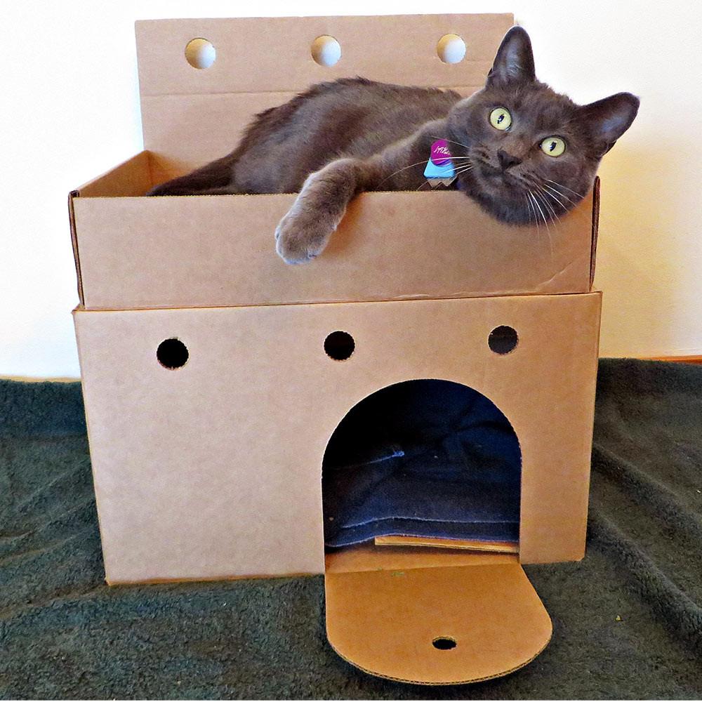 Donation - Castles For Shelter Cats