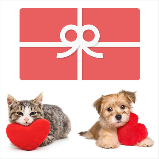 Gift Card - Valentine's Love Gift Card