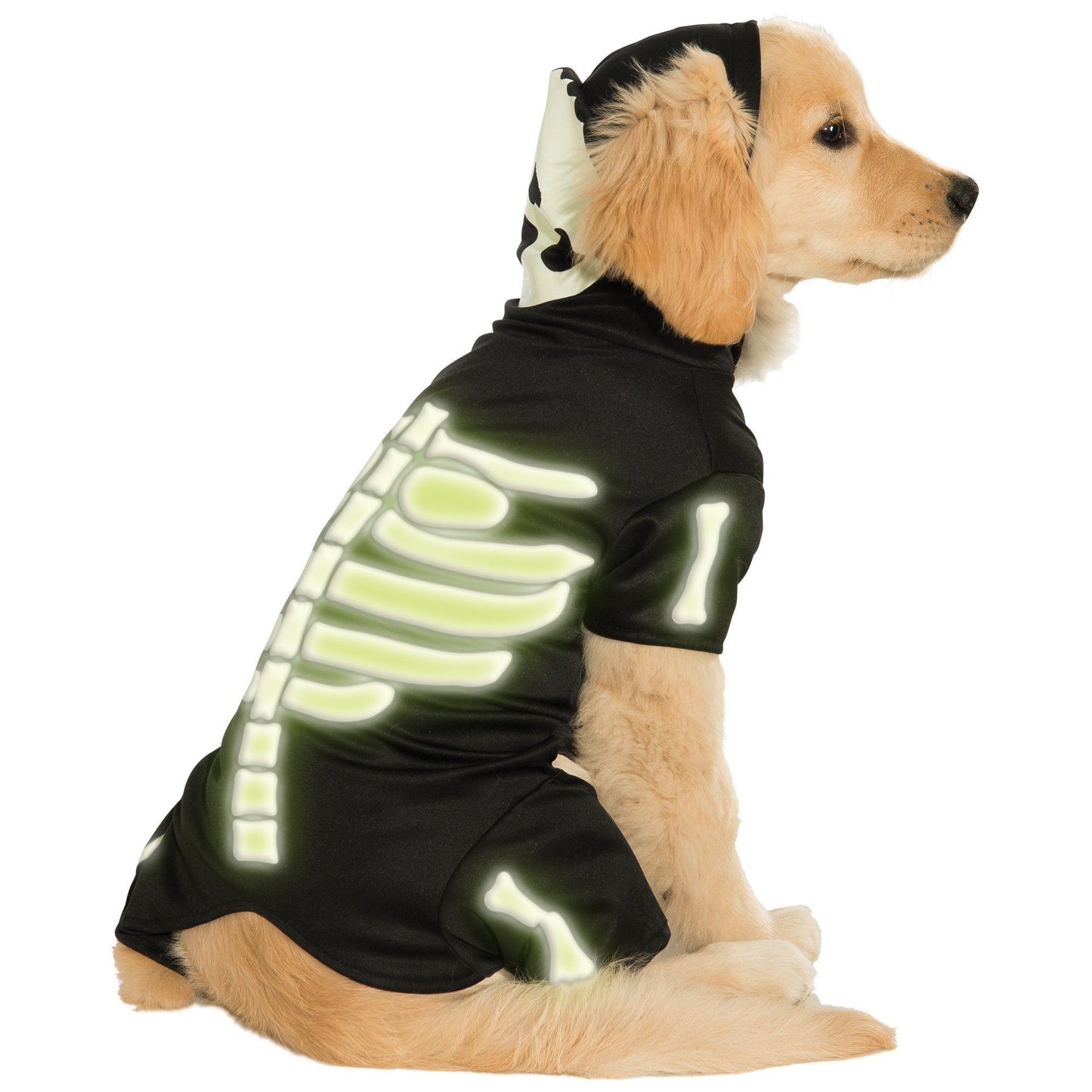 Glow-in-the Dark Skeleton Pet Costume