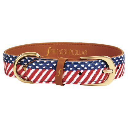 Presidential Dog Friendship Collar & Bracelet Set