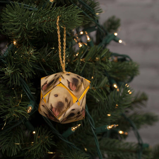 Recycled Dog Food Ornament